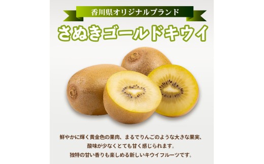 10月中旬～ 先行予約 キウイフルーツ さぬきゴールド 約900g  果物 フルーツ キウイ ゴールドキウイ イエローキウイ デザート スイーツ ケーキ ジュース ゼリー アイス シャーベット ジェラ