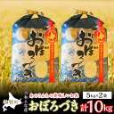 【ふるさと納税】◎令和6年産米 新米 2024年10月上旬よりお届け◎北海道壮瞥産 あのさんちの美味しいお米 おぼろづき　精米5kg×2袋 ふるさと納税 人気 おすすめ ランキング 米 こめ 精米 白米 ご飯 ごはん おぼろづき 北海道 壮瞥町 送料無料 SBTL004