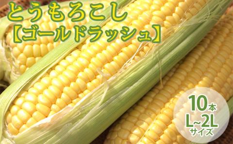 【2024年8月～発送】北海道 富良野産 とうもろこし ≪ゴールドラッシュ≫ L～2Lサイズ 10本 沖縄 離島不可 (鷲見農園) とうもろこし とうきび コーン 野菜 新鮮 甘い ジューシー