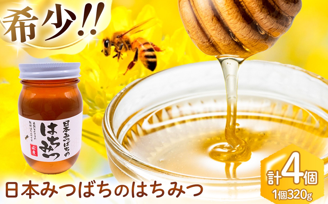 
            和水町産 日本蜜蜂のはちみつ｢希少品｣ 320g×4個 | 熊本県 熊本 くまもと 和水町 なごみまち なごみ ハチミツ ハチミツ 蜂蜜 日本蜜蜂 国産 320g×4個 瓶
          