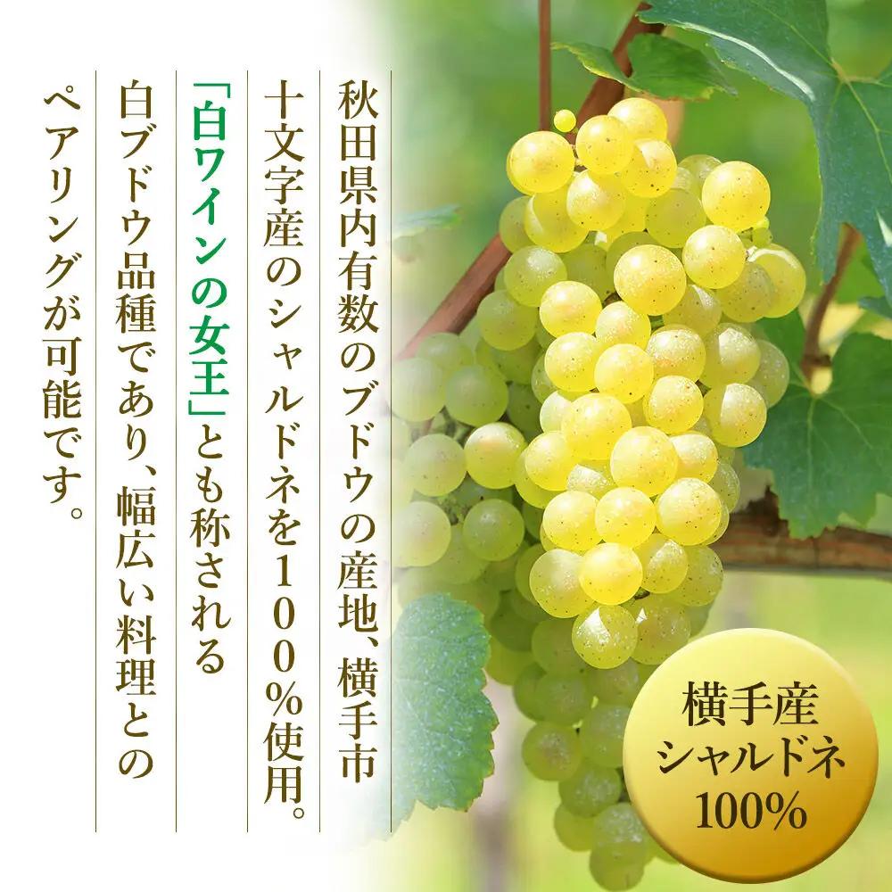 白ワイン シャルドネ 720ml×1本