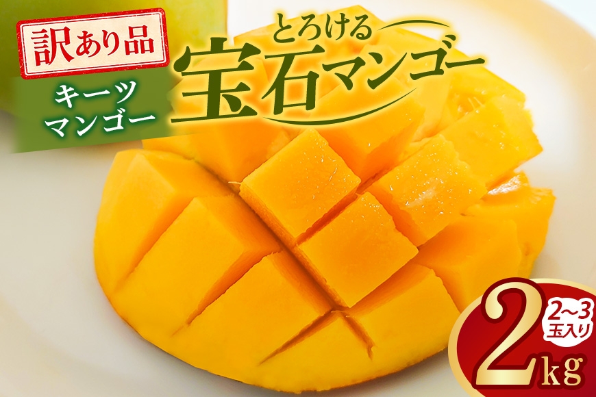 
                  ぼうけんの国 宝石マンゴー 【訳あり品】キーツマンゴー  約2kg 国産 キーツ マンゴー 訳あり 訳アリ 果物 南国 くだもの フルーツ 完熟 夏 旬 特産品 取り寄せ 産地直送 農家直送 甘い 濃厚 沖縄 うるま市 ku01-016
                