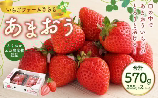 あまおう 約570g 約285g×2パック いちごファームきらら いちご イチゴ 苺【ふくおかエコ農産物認証】【2026年2月上旬から3月下旬発送予定】