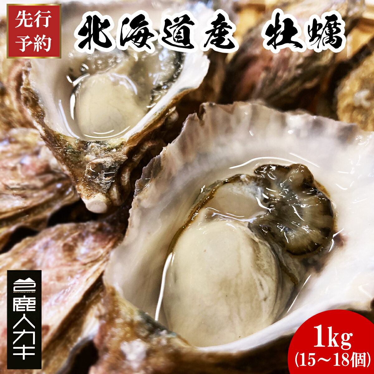 【ふるさと納税】 【先行予約】 2026年6月上旬発送 生牡蠣 1kg 15〜18個 殻付き 生カキ 北海道産 牡蠣 カキ かき 鹿人カキ シングルシード 生牡蠣 魚介類 海鮮 海産物 送料無料