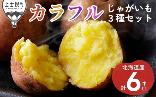 北海道産 カラフル じゃがいも 3種セット 計6kg（2kg×3種） 上士幌町加藤農場 馬鈴薯 芋 イモ 野菜 詰め合わせ ◆2025年12月配送予定 ［009-V70］ ※オンライン申請対応