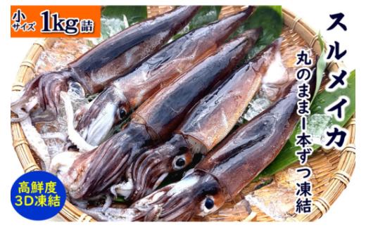 スルメイカ冷凍 1kg 小さいサイズ 訳あり 家庭用