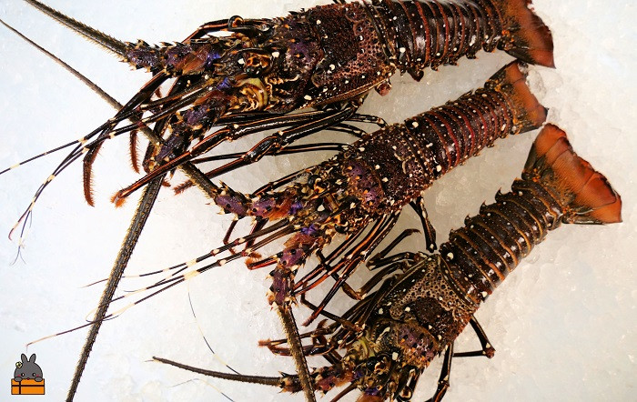 焼いても、鍋物でも！旨味が溢れ、ぷりっとした食感で美味しいですよ！