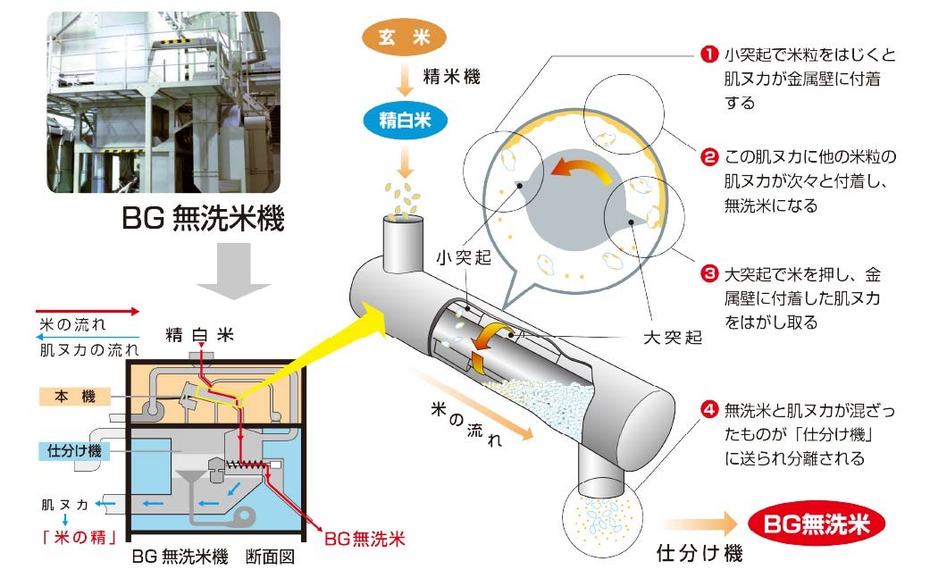子育て応援米【令和7年産】奈義町産米 BG無洗米 コシヒカリ 10kg【窒素充填包装】