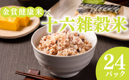 【 ご飯パック 】 金賞 健康米 十六雑穀米 120g×24個入り ご飯パック