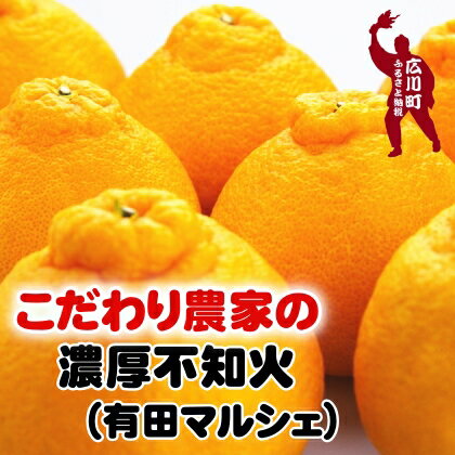 【ふるさと納税】【先行予約】こだわり農家の濃厚不知火 ※2026年2月上旬～2026年3月下旬に順次発送 ※北海道・沖縄・その他離島地域は発送不可 / みかん 蜜柑 果物 くだもの 果実 フルーツ 国産 和歌山県広川町 //dekopon