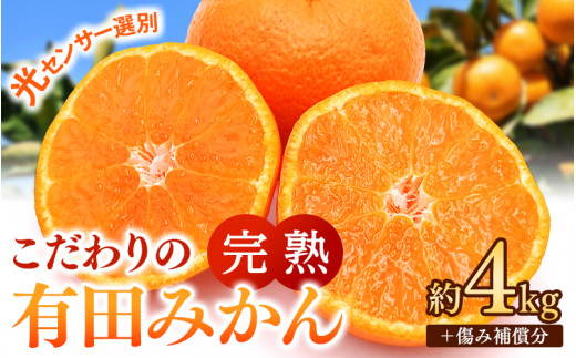 ご家庭用 こだわりの 有田 みかん 4kg＋150g(傷み補償分) 【11月発送予定】 / 温州みかん 光センサー選別 柑橘 甘い 果物 和歌山 ※北海道・沖縄・離島配送不可 【nuk004-c-4-novH】