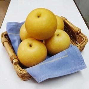 京都府産 新興梨 3kg 【2025年10月中旬発送開始】 果物 フルーツ なし 梨 くだもの