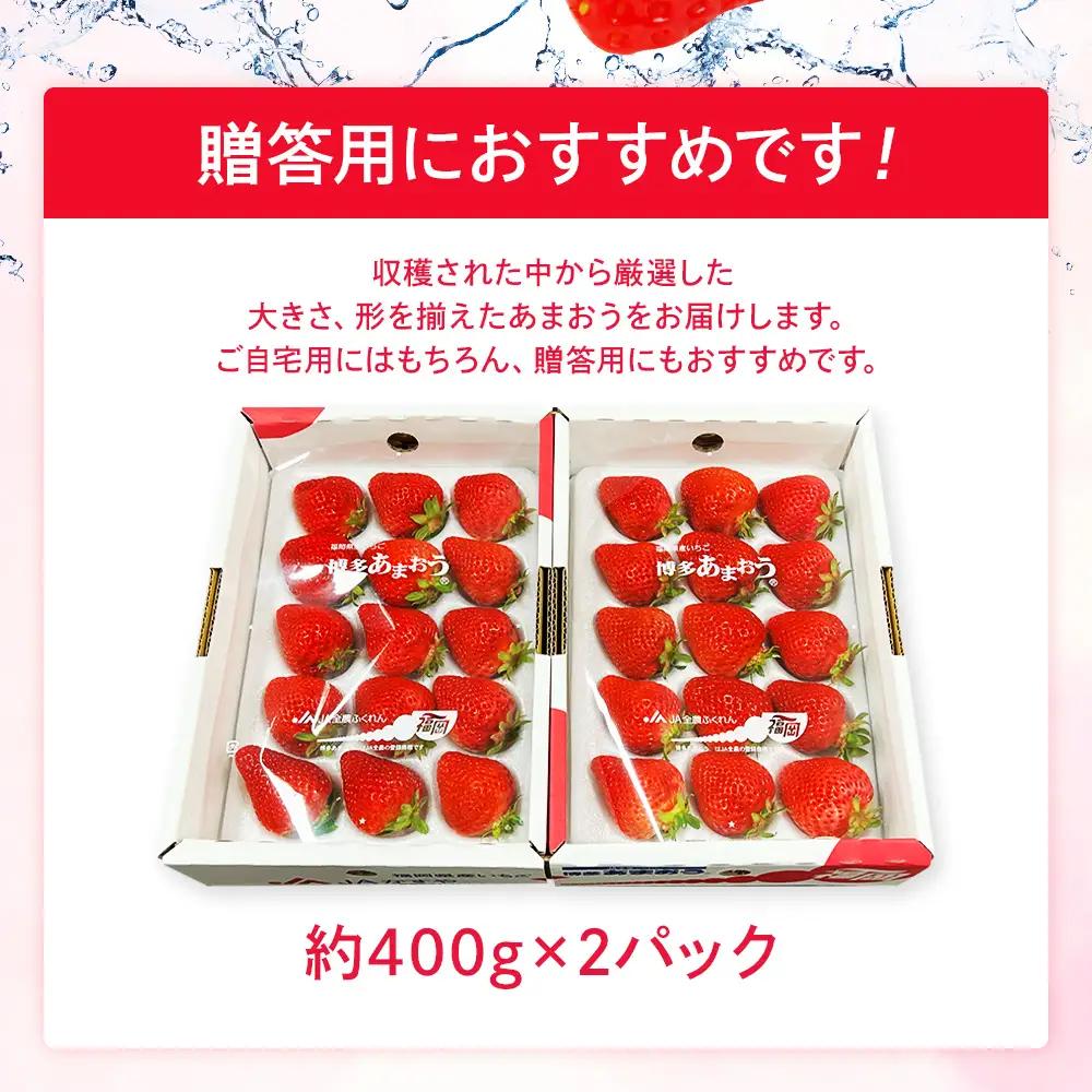 先行予約いちご あまおう 合計約800g 約400g×2パック 【2027年1月下旬～2月順次発送】 あまおう