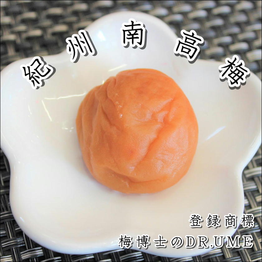 【ふるさと納税】白山農園　梅博士のDR.UME(登録商標）