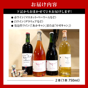 【数量限定】お楽しみ ワイン 2本 セット ワイン 08-43-001