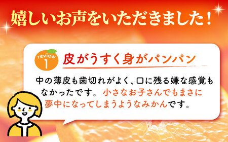 【先行予約】完熟 青島 みかん 約3kg【合同会社 社方園】九州産みかん ミカン 柑橘  国産  山鹿 果物 フルーツ [ZBZ011]