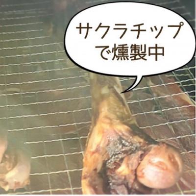 ふるさと納税 吉野ヶ里町 犬のおやつ☆天然いのししの骨ガム☆大型犬向け |  | 03