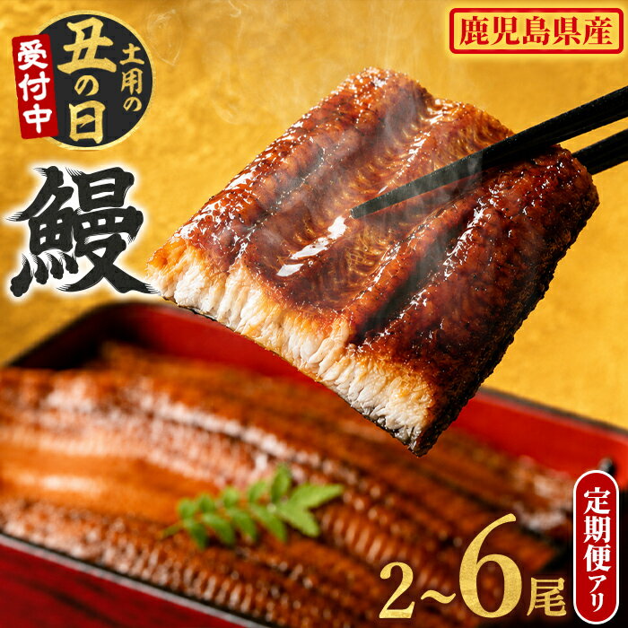東串良町のうなぎ蒲焼(無頭) 2尾(320g以上・タレ、山椒付)