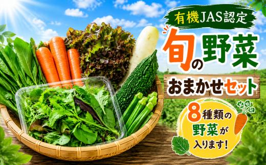 野菜 セット 旬 有機野菜 おまかせ セット 8種類 詰め合わせ 野菜セット やさい ベビーリーフ レタス にんじん ねぎ 小松菜 ほうれん草 野菜スティック オクラ 大根 ヤサイ yasai 旬の野菜セット 7000円 新鮮  茨城県 筑西