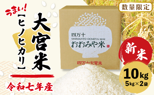 【令和7年産 数量限定】 四万十 の 米どころ 山間地域で育てた 大宮米 ヒノヒカリ 10kg 高知県 高知 しまんと 国産 お米 米 白米 精米 ひのひかり 低農薬栽培 ご飯 産地直送
