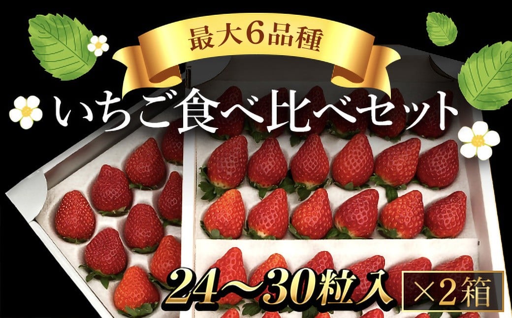
            【先行予約】【2026年1月中旬より順次発送】いちご食べ比べセット（最大6品種の食べ比べ） SMAN064
          