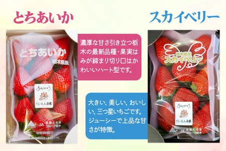 [2025年1月中旬より順次発送] 2種お楽しみ食べ比べセット「とちあいか＆スカイベリー」計300g×2パック｜とちあいか スカイベリー いちご イチゴ 苺 フルーツ 果実 スイーツ 日光市産 栃木県