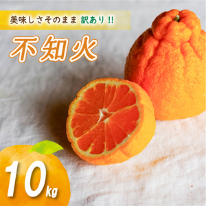 【2027年2月中旬頃から順次発送】 訳あり不知火 10kg | 数量選択可 みかん ミカン 蜜柑 柑橘 数量限定 愛媛県産 松山市 中島 愛媛 ふるさと納税【NO046】