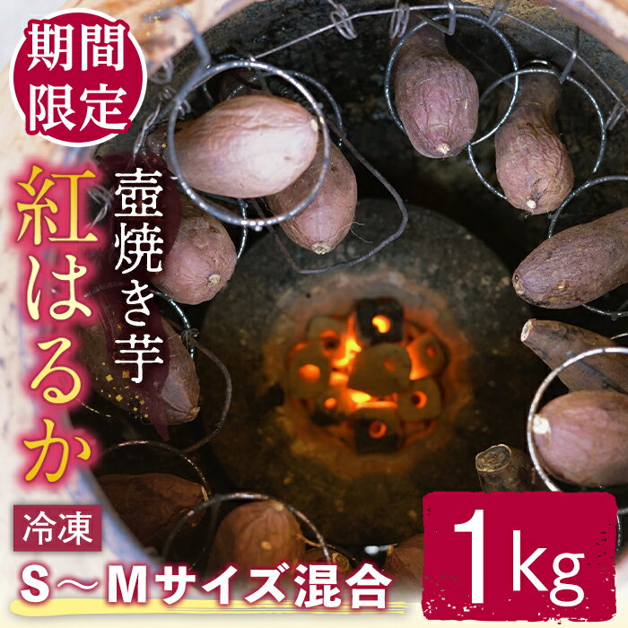 【ふるさと納税】＜先行予約受付中！2026年12月中旬以降順次発送予定＞ 冷凍壺焼き芋 紅はるか 1kg さつまいも サツマイモ べにはるか 焼き芋 焼芋 やきいも 壺焼き 冷凍 先行予約 【桑原農園】【ho1677】