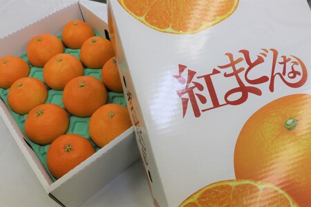 みかん 愛媛 紅まどんな 約3kg  L～3L（赤秀）【2025年12月から順次発送予定】 人気 数量限定 先行予約 柑橘 JA正規品 化粧箱入り 国産 フルーツ 果物 ギフト用柑橘 フルーツギフト 