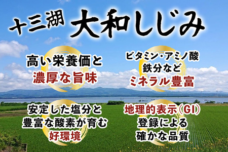 十三湖産 大和しじみ -鮮極- 大貝 1kg (500g×2パック) [0924]