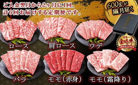 ≪限定200セット≫隔月6回お届け!【宮崎牛A5】焼肉6種盛り(乙守牛）_T180-6-6501_(都城市) 都城産宮崎牛 A5 焼肉6種盛 各100g ロース/肩ロース/ウデ/バラ/モモ(赤身)/モ