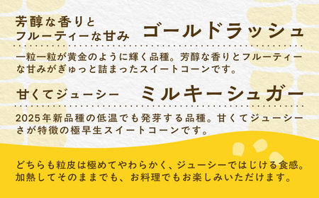 【先行予約】【発送期間：5月中旬～5月下旬】地元の道の駅オライはすぬまで大人気の農家から直送! ジューシーではじける食感が特徴! 朝採り とうもろこし SMCV001