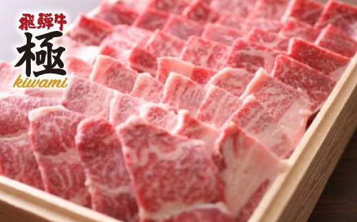 飛騨牛 バーベキュー BBQ がっつりカルビ500g 牛肉 和牛