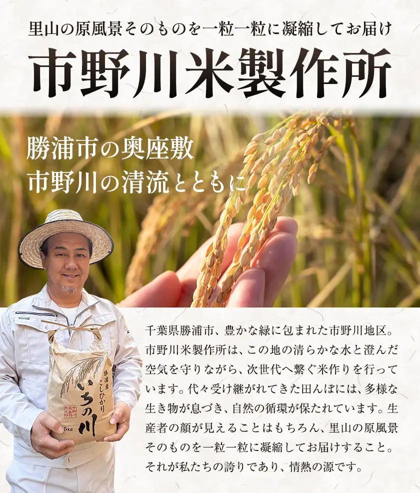 令和7年産 千葉県銘柄米 3種 食べ比べ 450g × 3種 1350g 市野川米製作所 