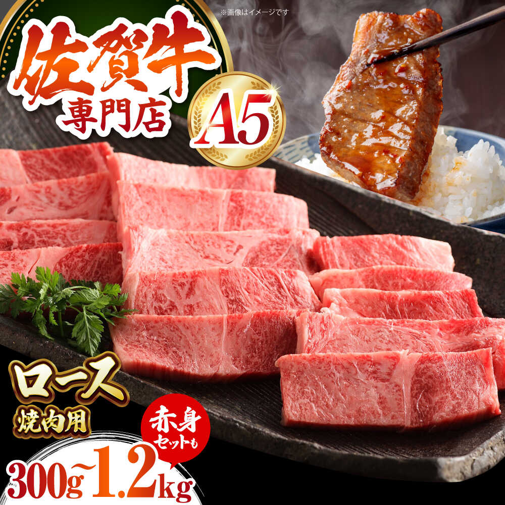 【ふるさと納税】【選べる容量】 佐賀牛 A5 ロース 焼肉用 （ 300g / 600g /1.2kg ） 赤身とのセットも！【肉の三栄】[HAA013] / 牛肉 焼肉 黒毛和牛 肉 霜降り サーロイン リブロース 赤身 セット BBQ 冷凍 国産 佐賀県 江北町