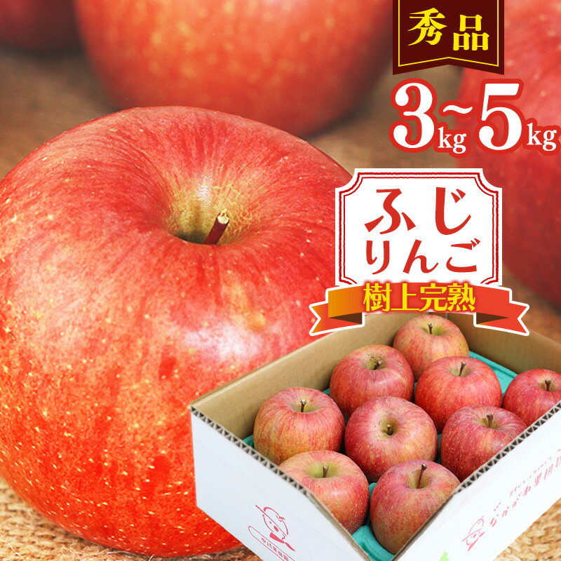 【ふるさと納税】樹上完熟 りんご 3kg 5kg 秀品 「ふじりんご」【2026年1月以降発送】生産者直送 ／ お取り寄せ ご当地 特産 産地直送 果物 フルーツ 新鮮 季節 冬 林檎 デザート おやつ 東北 2025年産 令和7年産 山形県産 3キロ 5キロ ふるさと納税 りんご