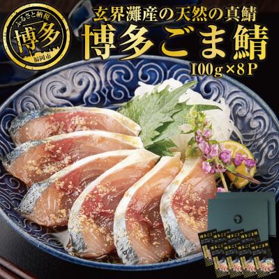 ふるさと納税 福岡市 玄界灘産 天然真鯖 博多ごま鯖　800g(100g×8パック) JX07