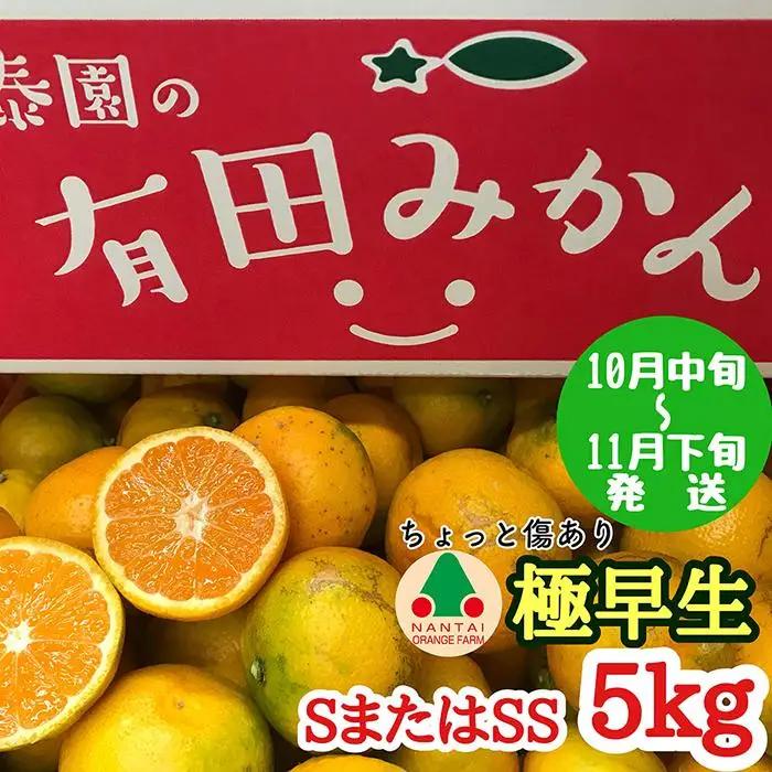 ちょっと 傷あり 極早生 有田 みかん S または SS サイズ 5kg 南泰園 和歌山 有田みかん