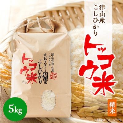 ふるさと納税 津山市 【突鉱土育ち】津山産トッコウ米(こしひかり)5kg