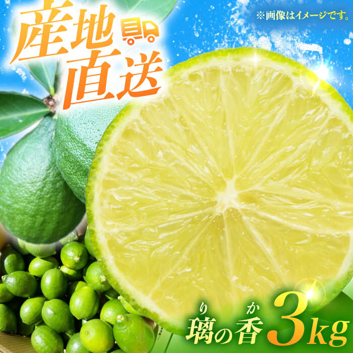 【ふるさと納税】【長崎県長与町産】璃の香 （ りのか ） 約3kg レモン ー2026年8月下旬より発送ー 長与町/井上柑橘園 [EAA005] りのか レモン 3kg フルーツ 果物 くだもの 果実 柑橘 檸檬 れもん 先行予約 レモンティ レモネード 国産 産地直送