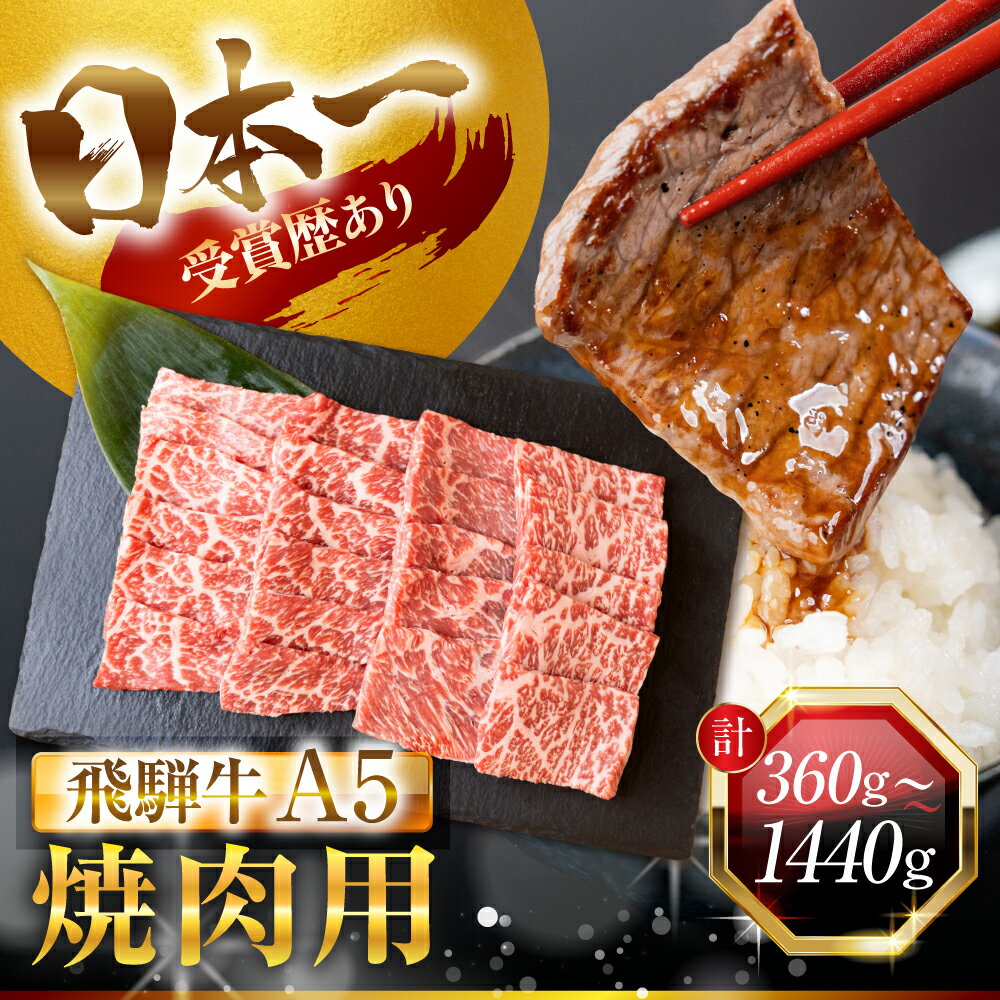 【ふるさと納税】最高ランクA5 飛騨牛 焼肉用 370～1480g 厳選部位 部位おまかせ モモ カタ バラ カルビ 肩肉 A5等級 A5ランク 赤身 霜降り 牛肉 和牛 国産 国産和牛 厳選 ブランド牛 高級 高級肉 冷凍 プレゼント ギフト 焼肉 15000円 1万5千円 中部ミート 岐阜県 大垣市