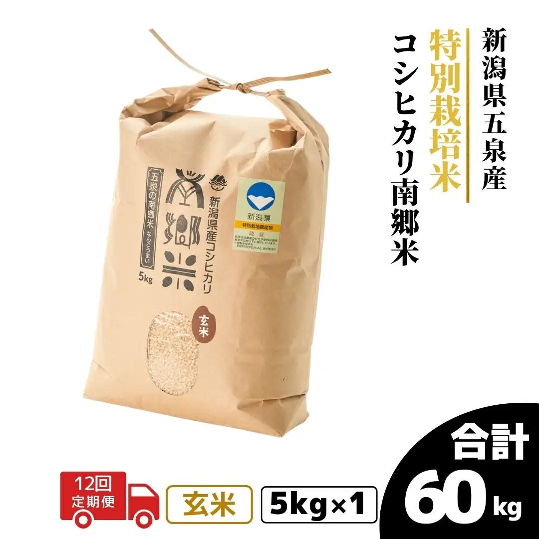 【定期便12回】令和8年産 新米 コシヒカリ 玄米 5kg×12回(計60kg) 特別栽培米 先行予約 | 新潟県産 米 五泉市