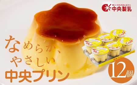 プリン3p 12個セット プリン 中央製乳