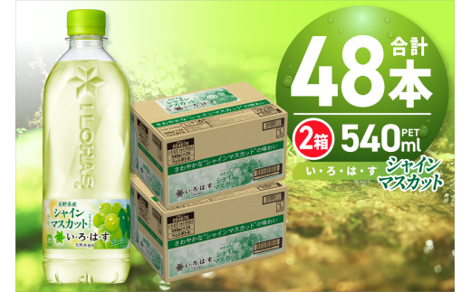 い・ろ・は・す シャインマスカット540mlPET×48本 いろはす フレーバー ドリンク ブドウ 天然水 ペットボトル 24本×2箱 計48本 飲料 リサイクルペット使用 札幌市