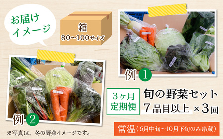 【3ヶ月連続お届け】農家直送 旬の野菜セット 7品目以上 1箱 ／ 定期便 3回 季節 野菜 ボックス BOX セット セレクト 農家 おまかせ 多品目 旬 詰め合わせ 根菜 葉物