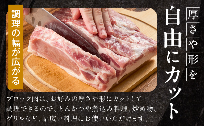 宮崎県産豚ブロック肉 4種セット(ロース・バラ・モモ・ヒレ)合計3.5kg 肉 豚肉 ブロック肉