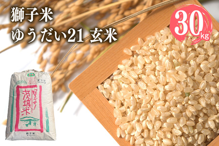 【令和7年産】獅子米 ゆうだい21 玄米30kg （精米可）岡田ファーム あなたが選ぶ日本一おいしい米コンテスト 最優秀金賞 受賞 お米 米 おこめ ブランド米 30キロ 国産 単一原料米 コメ こめ ご飯 銘柄米 茨城県産 茨城 産直 産地直送 農家直送 ごはん 家庭用 贈答用 お取り寄せ ギフト 茨城県 石岡市 (B02-016)
