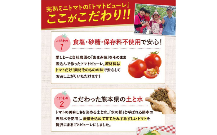 【全6回定期便】完熟ミニトマト（あまみ姫）無添加 トマトピューレ5袋入り＜株式会社愛しとーと＞那珂川市 [GBA039]