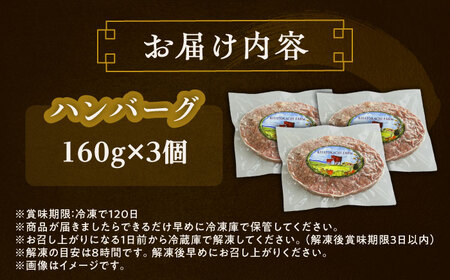 短角牛 ハンバーグ 160g×3個 ハンバーグ[BEAI004]