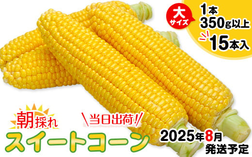 
            スイートコーン15本入(1本350g以上)【2025年8月発送予定】
          